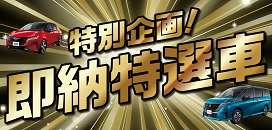 即納特選車